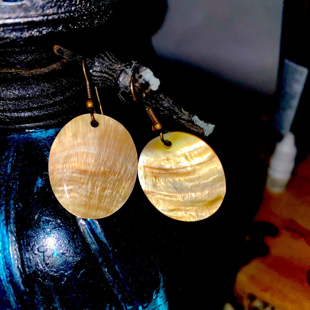 Shell Looking Earrings with Fish Hook Earrings